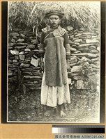 藏品(排灣族女子)的圖片